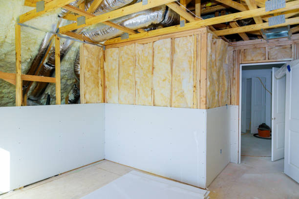 Best Crawl Space Insulation  in Dixon, IL